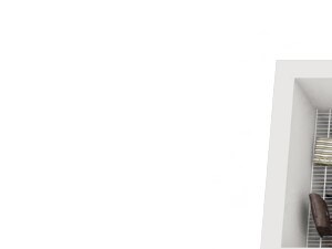 A1